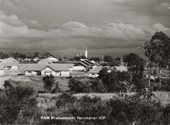 pamprb_0058_t.jpg